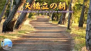 天橋立の朝 モーニングサン・トレイルロード
