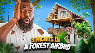 3 Nights In a Forest Airbnb