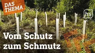 Gut gemeint, schlecht gemacht: Die Plastikfalle im Wald | hessenschau DAS THEMA