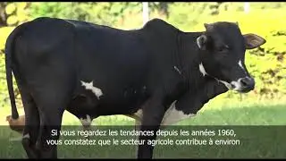 Smart Agriculture, Smart Africa