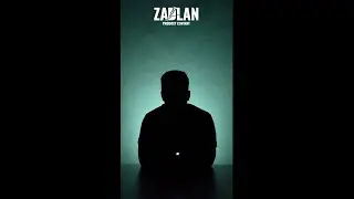 Цахилгаан бороохой ЗАДЛАН - Stun gun taser review