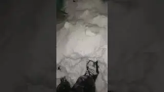 Стою на большом сугробе! возле 1 подъезда Смирновского переулка 137/1 и собаки вТаганроге 27.01.2026