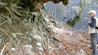 Morterone e il 