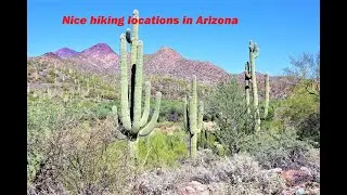 Cave Creek Regional Park and Spur Cross Ranch