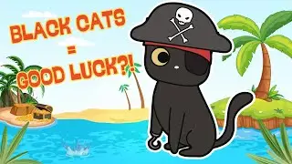 The Truth About Black Cats (And Pirates!)
