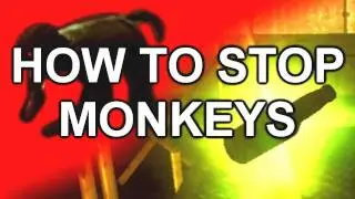 Black Ops Ascension: How to Stop Monkeys from Stealing Perks!