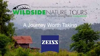 Amur Falcons Nagaland Expedition by Bruce Evans