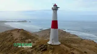 #LosAnimalesMeImportan - La falta de importancia del agua en Negritos