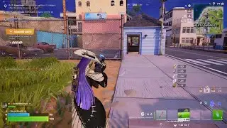Fortnite_20260203220041
