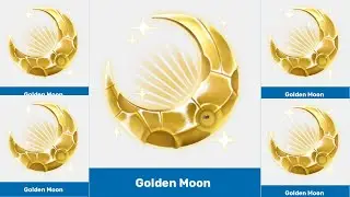 Every item in the golden moon crates