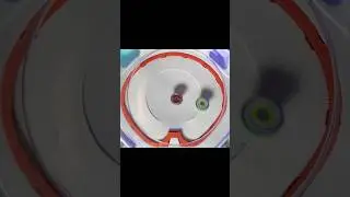 Pegasus Blast A4-55P Quick Clash! 【Beyblade X ベイブレードX】
