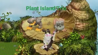 Plant Island Trio