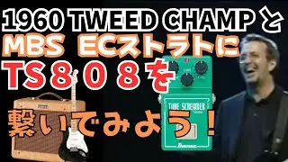 1960 tweed champとMBS ECストラトにTS808を繋いでみよう！