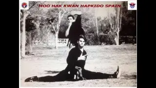 Esto es Hapkido Moo Hak Kwan Spain