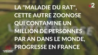 Complément d'enquête. Les derniers secrets du Covid. Extrait#2