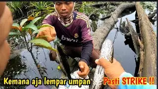 SPOT MANCING IDAMAN PARA ANGLER KE MANA AJA LEMPAR UMPAN PASTI DI SAMBAR