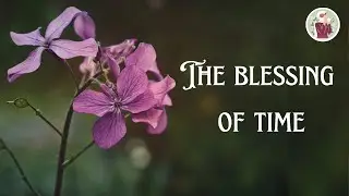 How to increase Barakah in your time | Hamza Yusuf