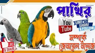 🐦Test Your Bird Knowledge! 🐦 | 40 Questions Quiz ✅#viral #gk #birds #bird