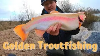 Golden Troutfishing: How I catch a lot of Trout