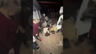 Am fost Ursul (ursai cred)