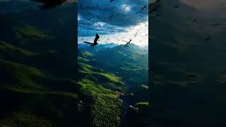 Aerial View of birds above Mountain 🏔️ #nature #relaxing #drone #birds #mountains #viral #soothing