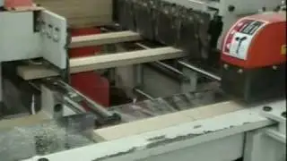 Cantek CK2200 Double End Trim Saw with Infeed into Leadermac Moulder
