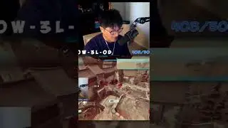 IS MEOW NOON THE NEW META?🐱