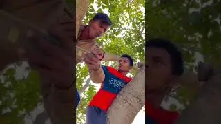 Na talwar ka dhar sa na goliuo ka bohar sa #ffcomedy #freefirelive #shots #freefire #comedyvideo 🥰😍🤩
