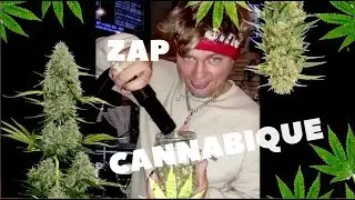 ZAP CANNABIQUE #5 | Saint-Valentin de la beuh !