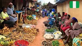 Organic Foodstuff Prices from Nigerian Rural Market