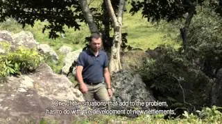 Community-based fire management in Bolivia