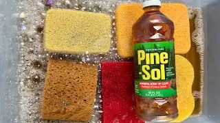 OG Original Pine Sol 🌲 ASMR SPONGE SQUEEZES 🫧 🧽 