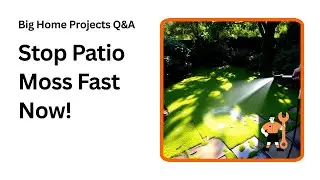 How to Stop Moss and Algae from Ruining Your Patio