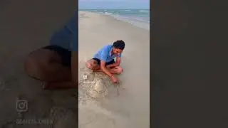#shivling banate hue #beach pe sand se shivling banate hue #harharsambhu #harharmahadev #shorts