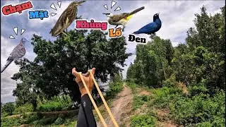 Tuấn nhỏ || d&ugrave;ng n&aacute; cao su bắn hạ v&agrave;i con c&ograve; v&agrave; tu h&uacute; về ra đồng nấu nướng lai rai c&ugrave;ng team....