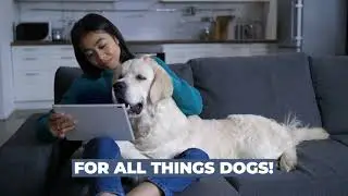 The Kennel App