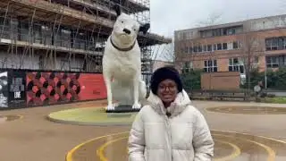 Mia dottin nipper dog news report 3