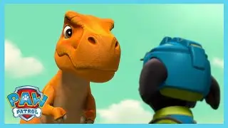 Trucks vs Dinosaurs - Paw Patrol | Shows for Kids | WildBrain Speedway