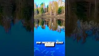 Живописное место ❤️❤️❤️ #киржач #природа #живописноеместо #красота #реабилитация