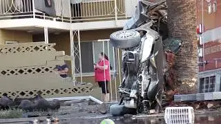 Fatal Vehicle vs Palm Tree / Phoenix