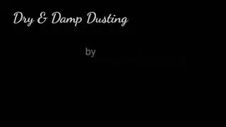 Dry and Damp Dusting