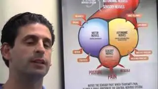 Chiropractors Remove Nerve Pressure - Kingsgrove Chiropractor