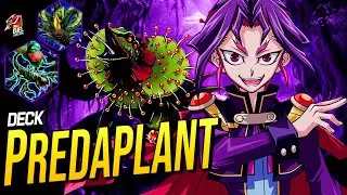 Deck Predaplant [September 2021]
