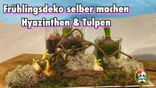 DIY / Frühlingsdeko selber machen | Deko mit Hyazinthen & Tulpen 🌷 + Pflegetips | Deko im Glas
