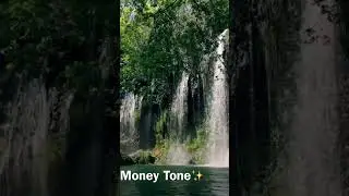 #Money Magnet Ritual ✨ Attracting Financial Overflow 🍃 DAILY MONEY TONE🔮