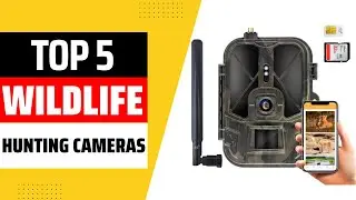 Top 5 Best Hunting Trail Cameras 2024 | Best Wildlife Hunting Cameras 2024