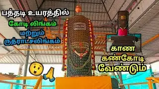  ருத்ராட்சலிங்கம் (ம)கோடிலிங்கம்  நிற்கும் நந்தி காண கண் கோடி. Viral video