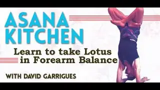 Lotus in Forearm Balance (Karandavasana) || Asana Kitchen with David Garrigues || Ashtanga Yoga