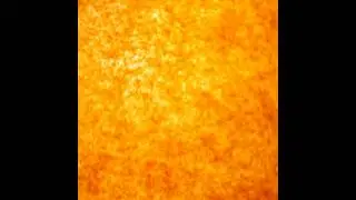 Fake Truth - Light Sun