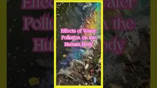 Effects of Water Pollution on the Human Body